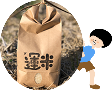 写真:Qファームのお米