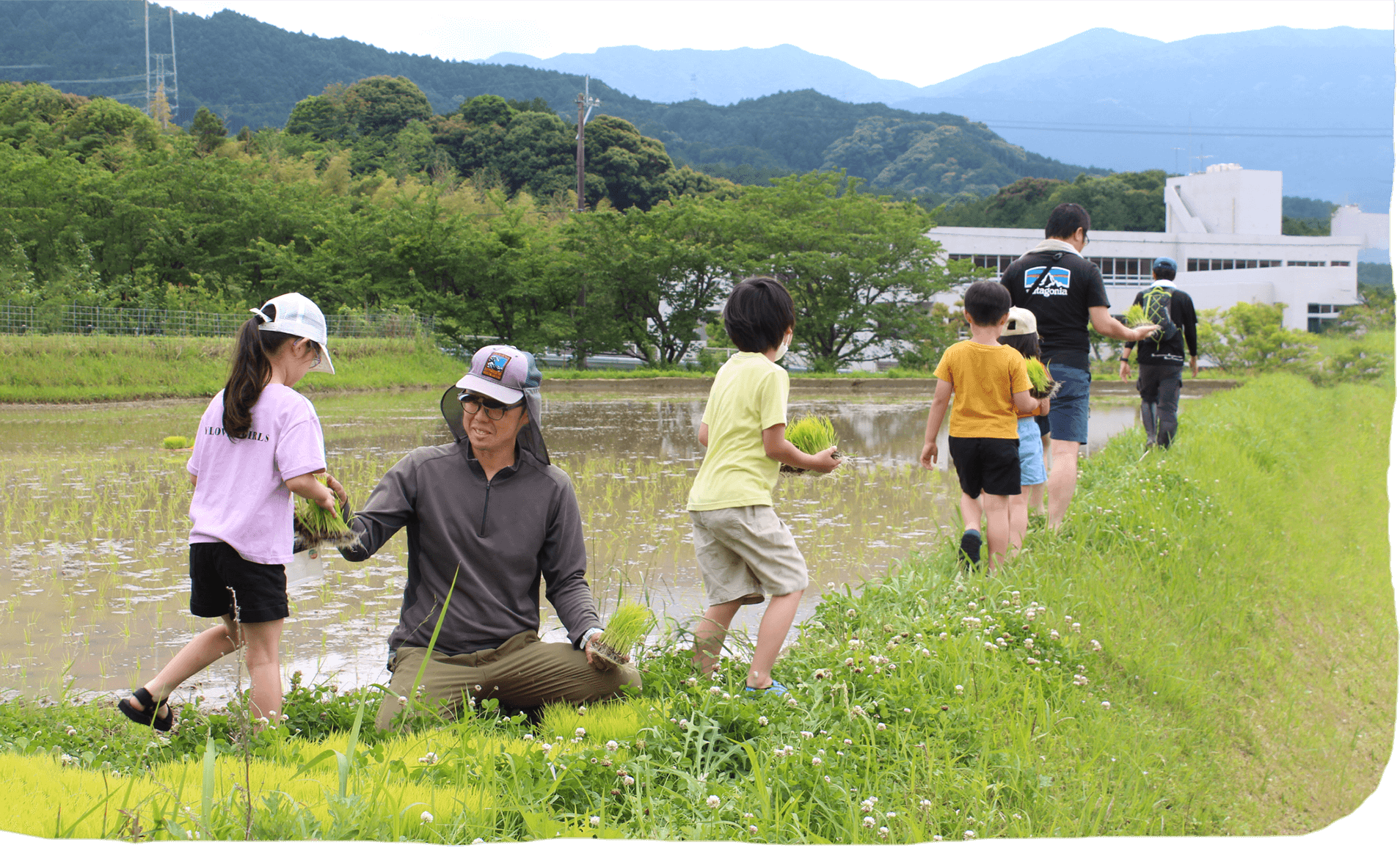 写真：田植え体験