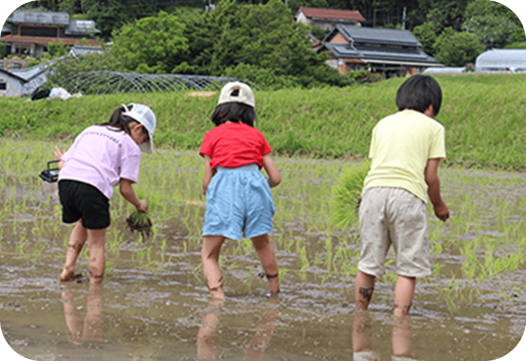 写真：田植え体験